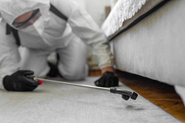 Professional Termite Control technician working in St. Pauls, NC