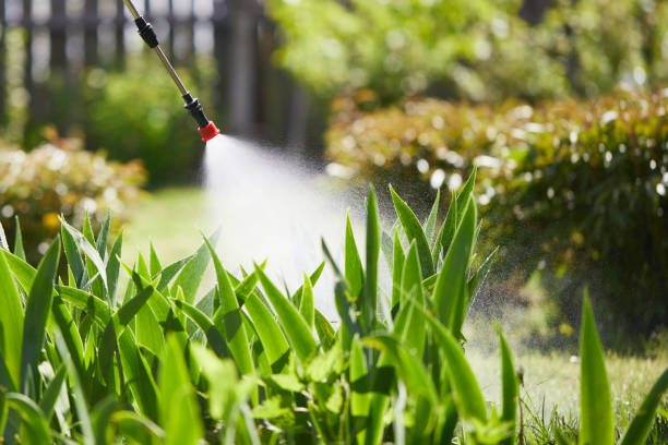 24/7 Emergency Termite Control experts in St. Pauls, NC