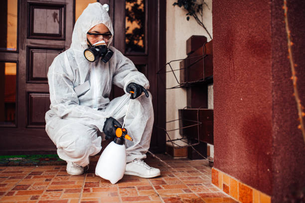 Reliable Termite Control contractor in St. Pauls, NC by Nex Pest Control