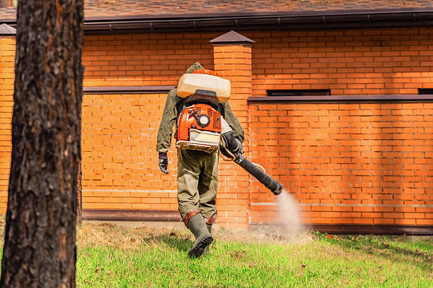 Top rated local Termite Control specialists in St. Pauls, NC